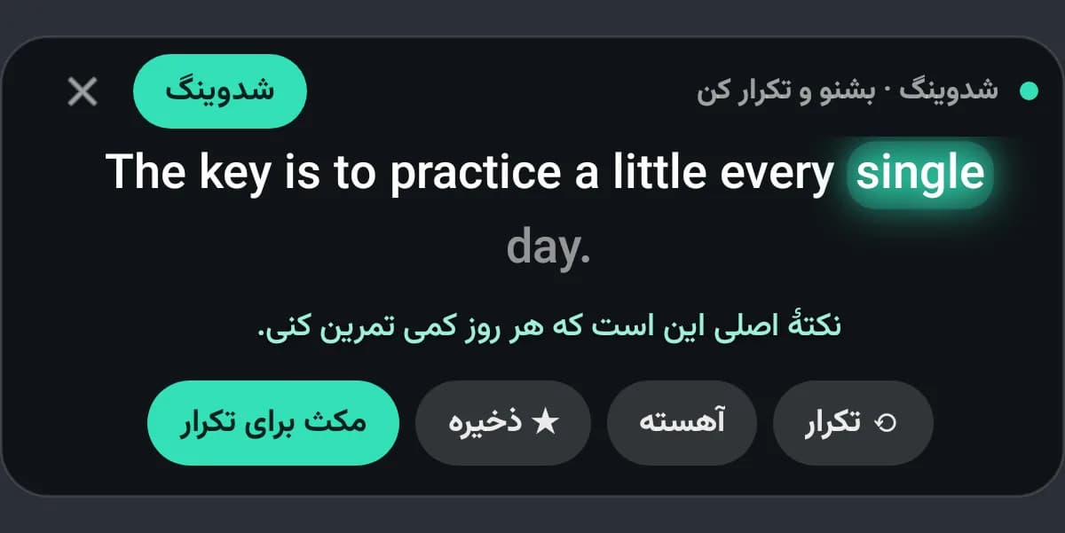 زیرنویس شدوینگ پژواک: جملهٔ انگلیسی با هایلایت کلمه‌به‌کلمه و ترجمهٔ فارسی